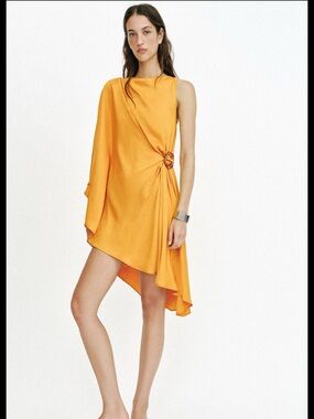Zara Asymmetrical Buckle Dress